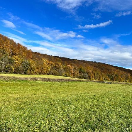 Domki Nad Stawem Uherce Uherce Mineralne  Exterior foto