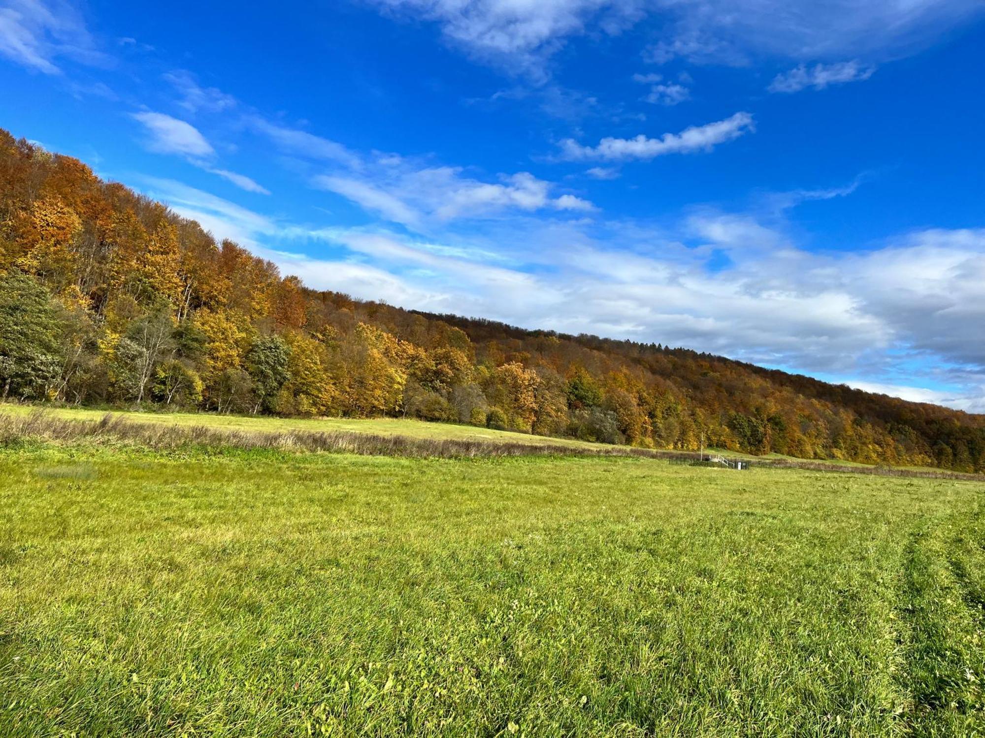 Domki Nad Stawem Uherce Uherce Mineralne  Exterior foto